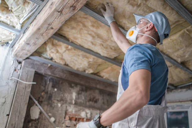 Best Home Insulation Services  in Whitewright, TX