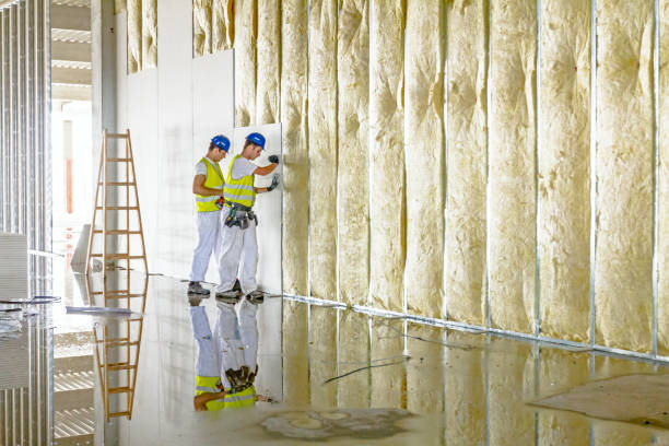 Insulation Inspection Services in Whitewright, TX